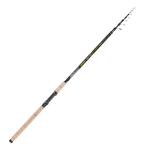 Fishing rods - Canna English Vertigo