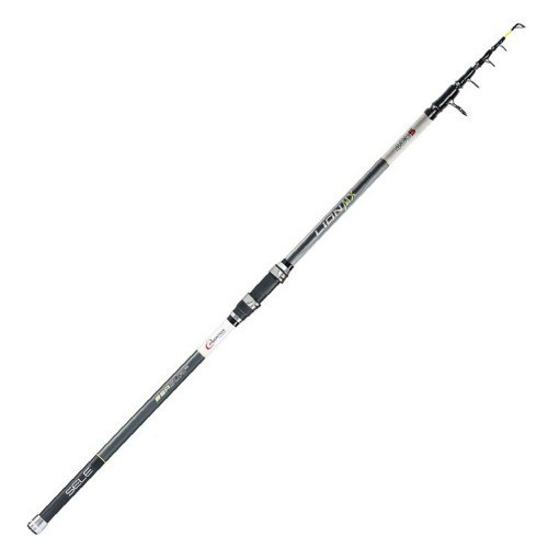 Fishing rods - Surfcasting Rod Lion Mx