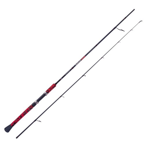 Spinning rods - Darwin Fishing Rod