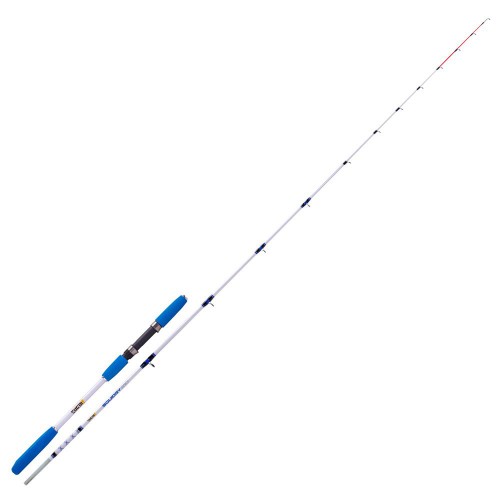Fishing rods - Cane From Eging Squidgy