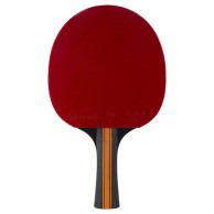Vision Wrb Table Tennis Racket