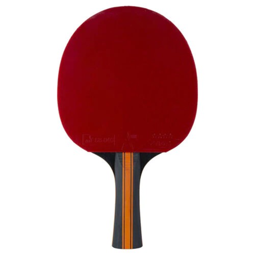 Ping Pong rackets - Vision Wrb Table Tennis Racket