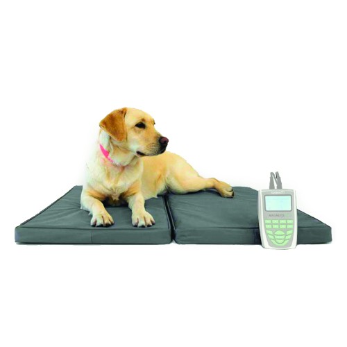 Magnetotherapy accessories - Veterinary Therapeutic Kennel 44x70mm With 4 Coils