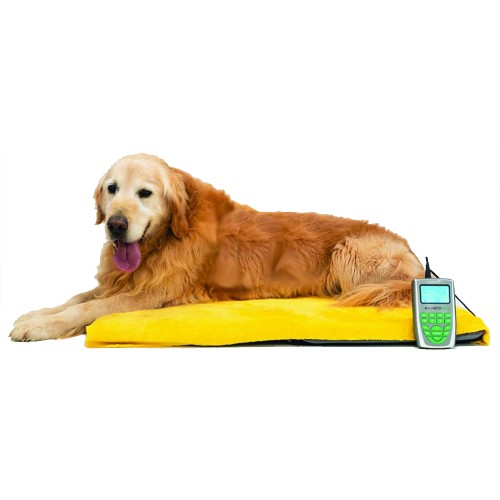 Magnetotherapy - Veterinary Magnetotherapy Magnetovet 200 With Portable Kennel