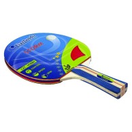 Racchetta Tennis Da Ping Pong Storm 2 Stelle+ Approvata Ittf