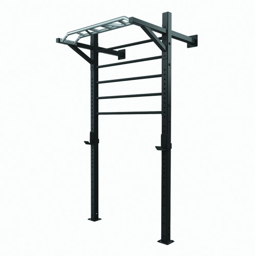 Functional Training - Multifunctional Back Bar Ldx 5000 Physical Training