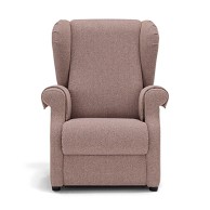 Vanity 2 Electric Reclining Lift Chair For The Elderly With Wheels