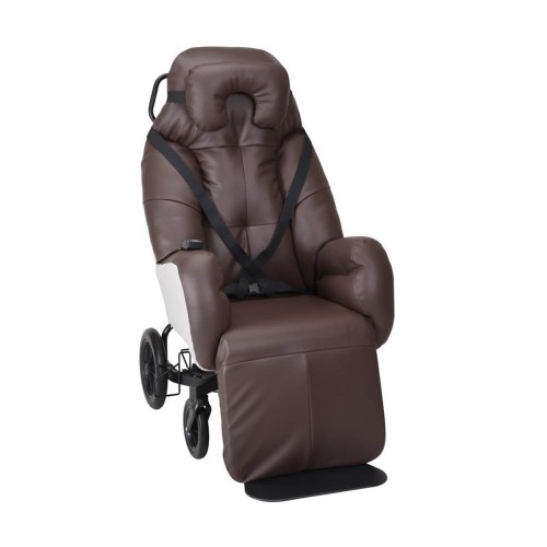 Lift and relax seats - Elysee Outdoor Geriatric Chair With Electric Tilting