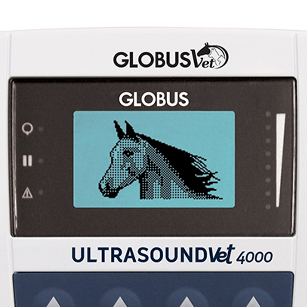 Ultrasound - Globus Ultrasuoni Veterinary Ultrasoundvet 4000