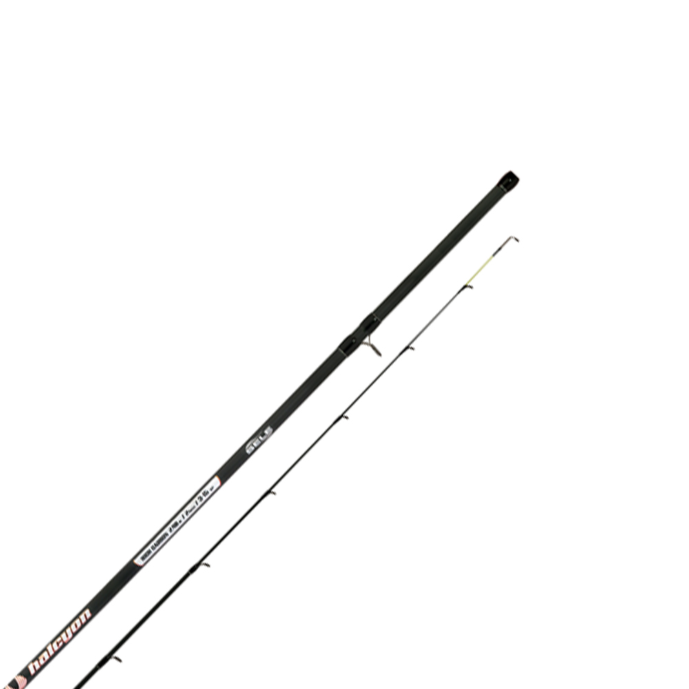 Spinning rods - Sele Halcyon Fishing Rod