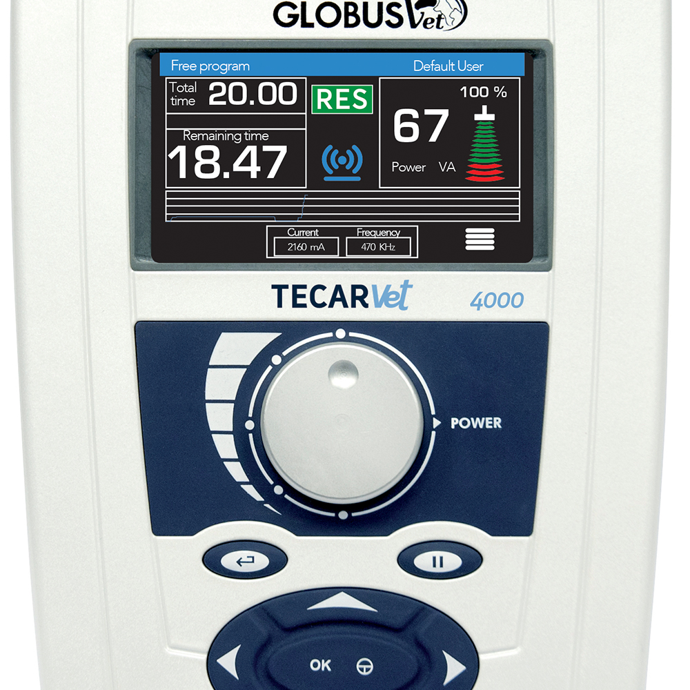Tekartherapie/Radiofrequenz - Globus Tecarvet 4000 Re Wiederaufladbare Version Mit 5 Stunden Inklusive