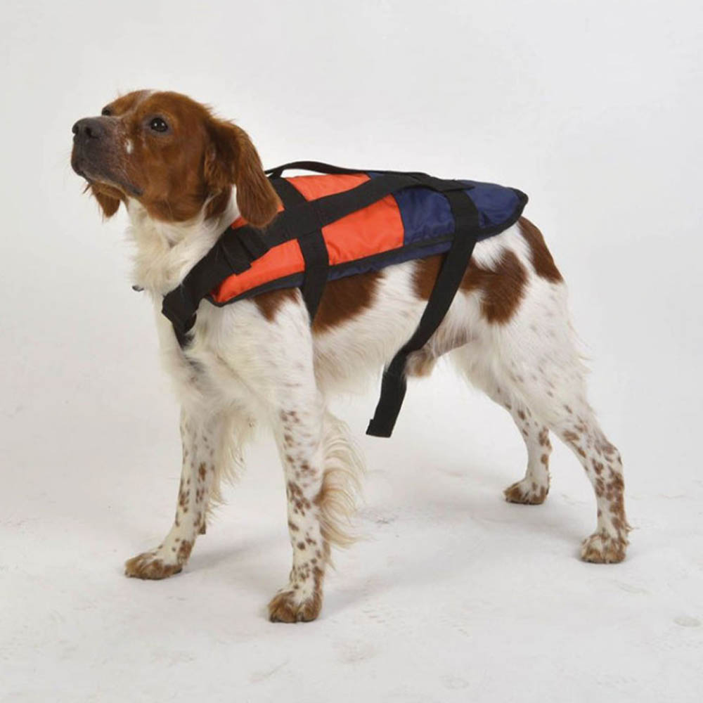 Life jackets - Sedilmare Jacket For Dogs Buoyancy Aid
