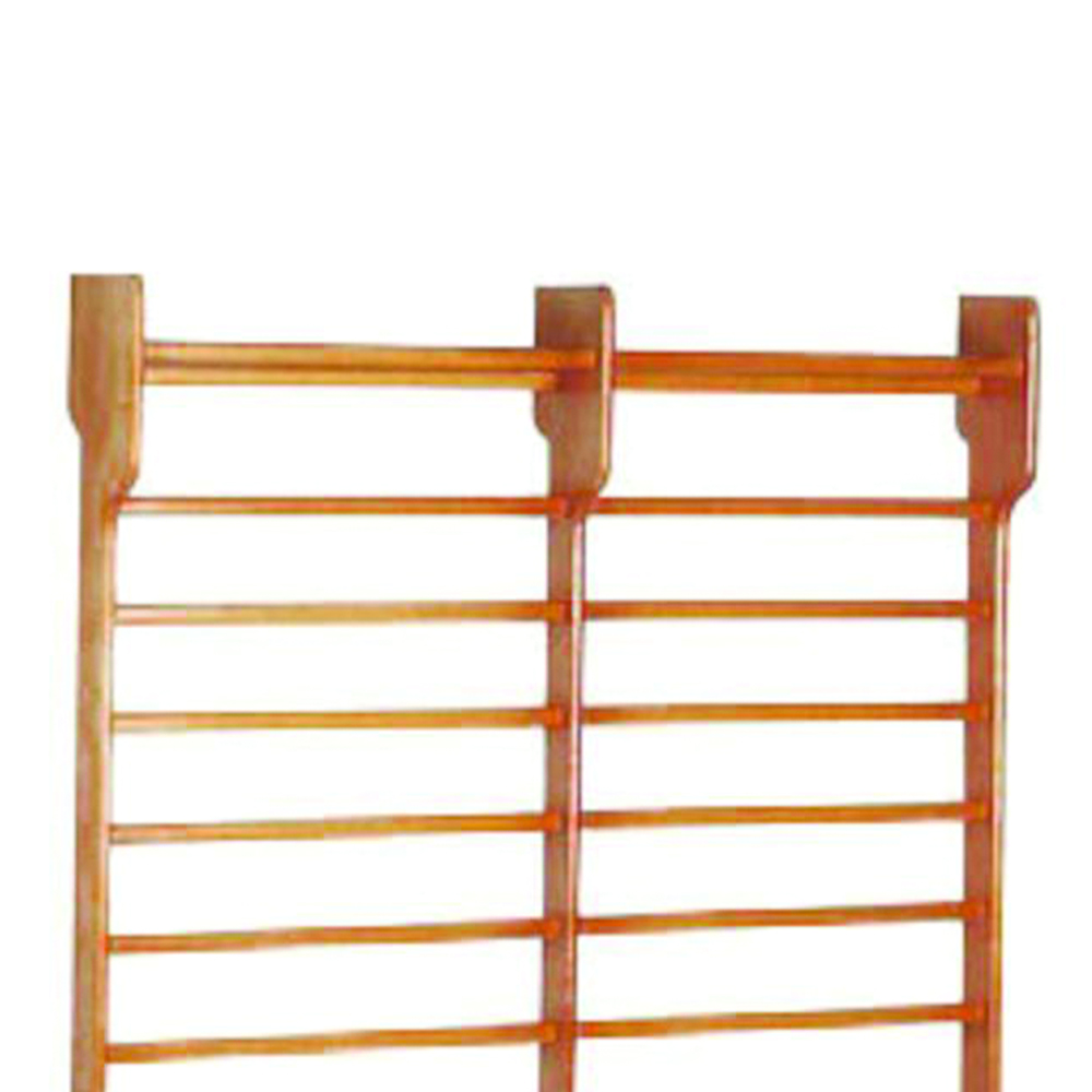 Functional Training - Toorx Swedish Espalier 2 Spans