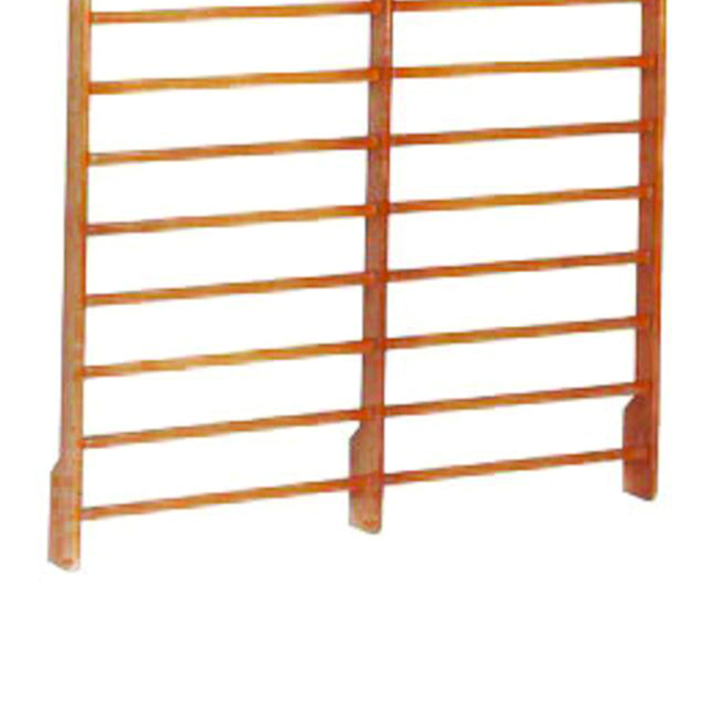 Functional Training - Toorx Swedish Espalier 2 Spans