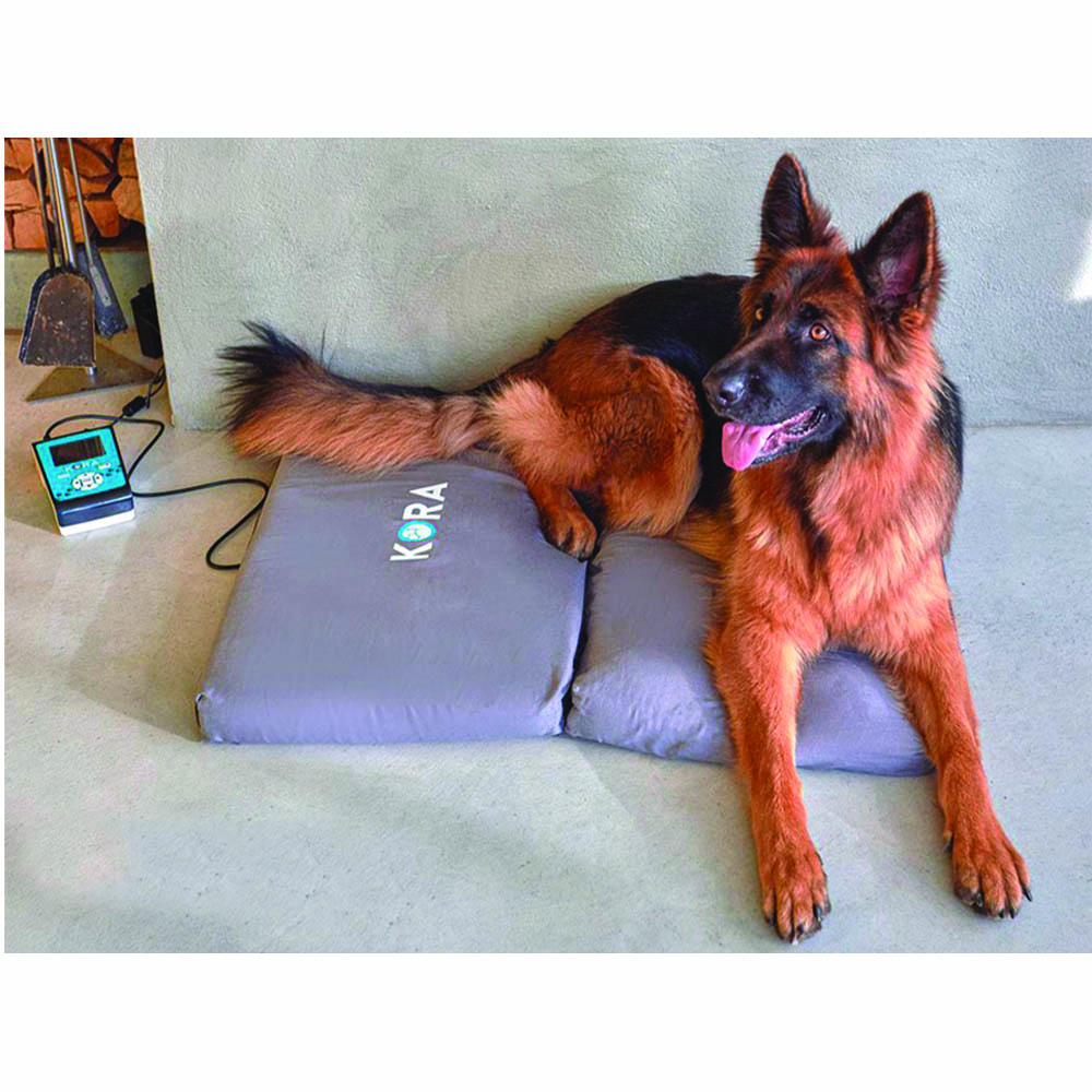 Magnetotherapy - I-Tech Kora Magnetotherapy Device Basic Kit For 4-legged Animals