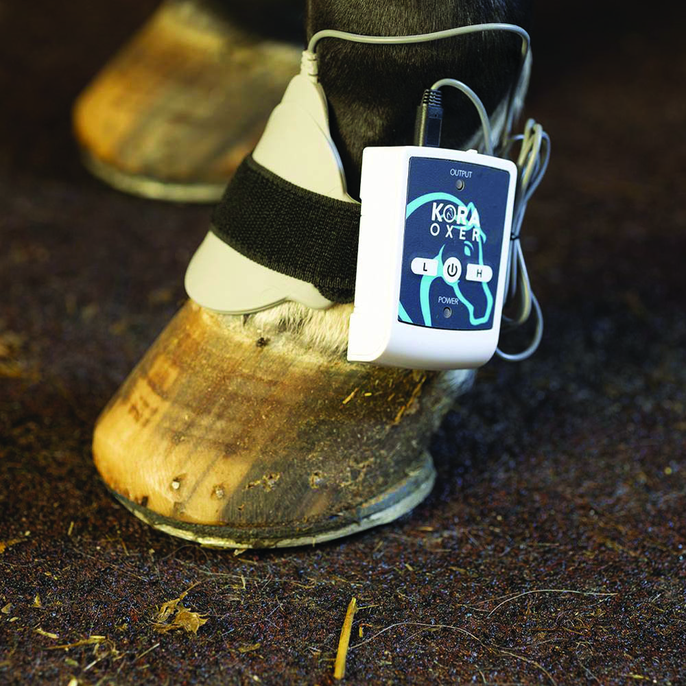 Magnetotherapy - I-Tech Kora Oxer Magnetotherapy Device For Horses Low Frequency