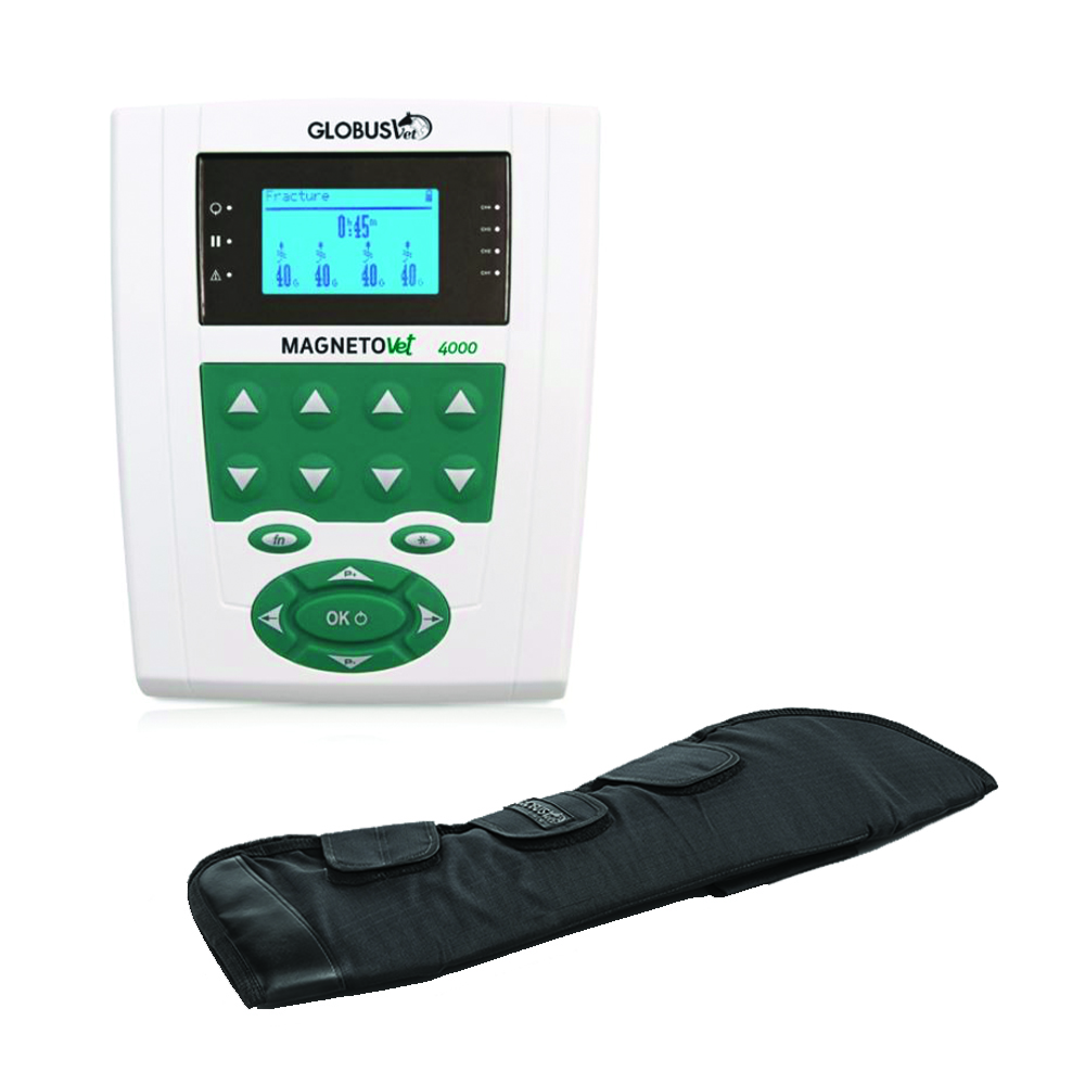 Magnetotherapy - Globus Magnetovet 4000 Horse Magnetotherapy Kit And Hindlegs