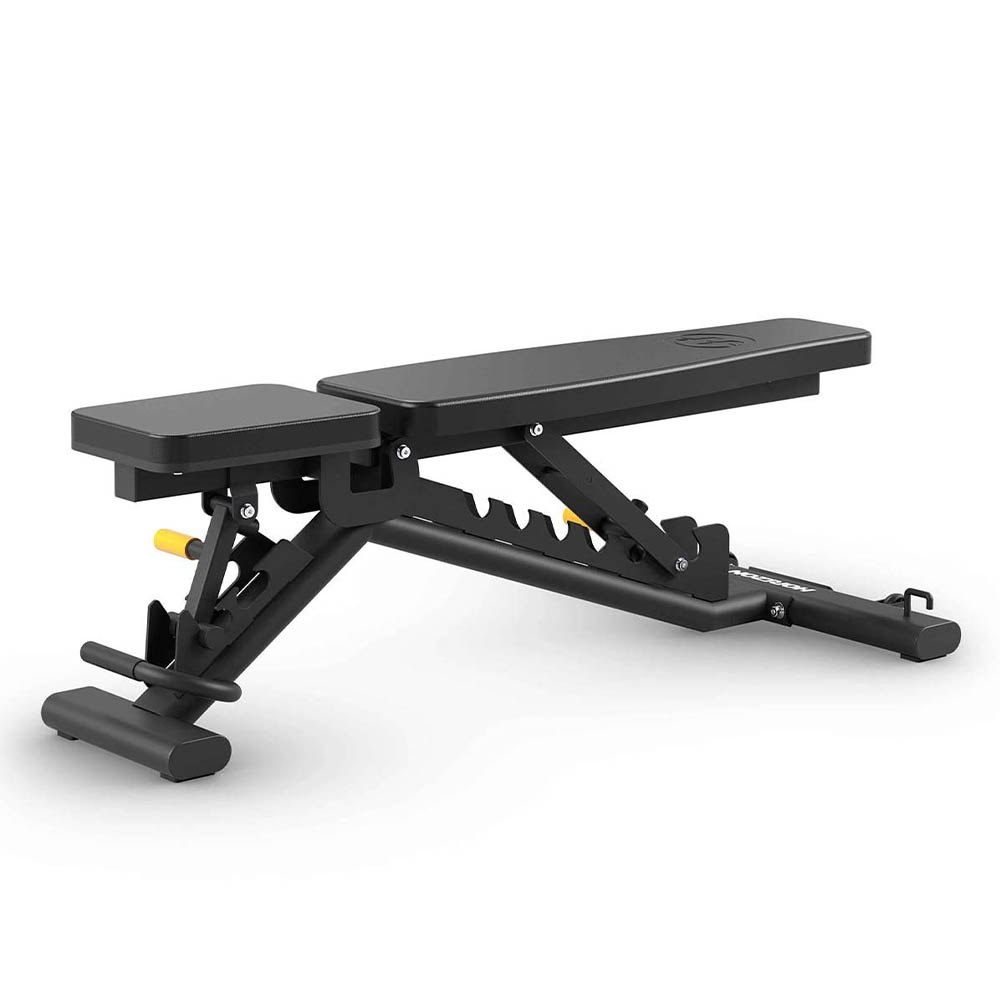 Gymnastic Benches - Horizon Fitness Hbn50 Adjustable Training Bench