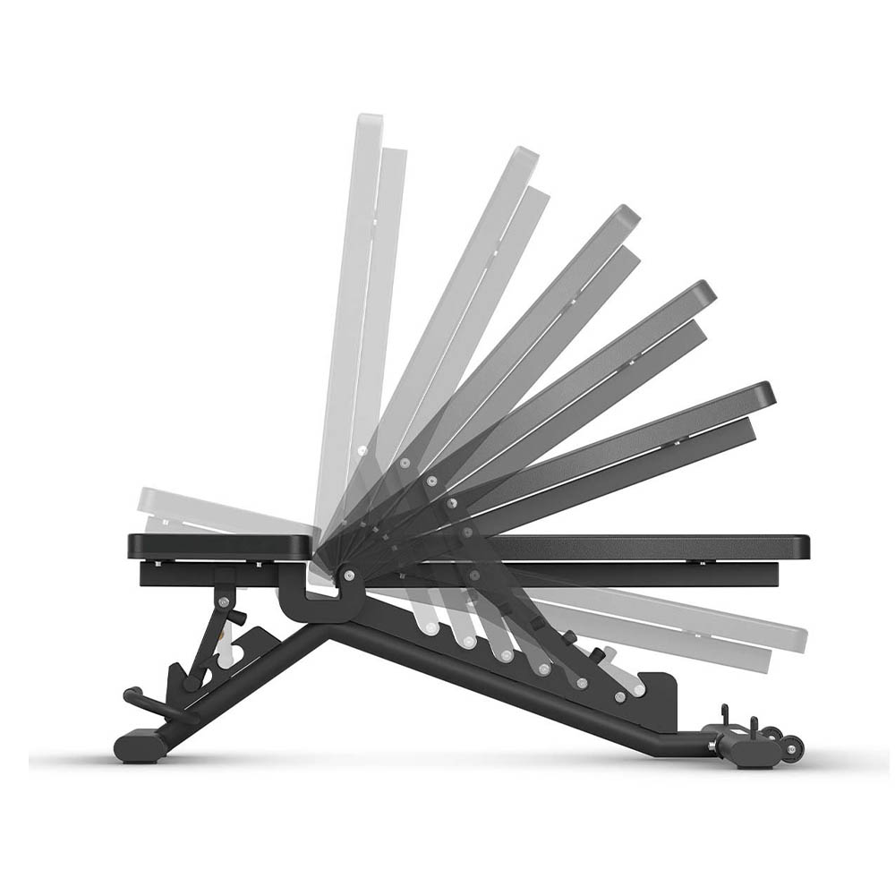 Gymnastic Benches - Horizon Fitness Hbn50 Adjustable Training Bench