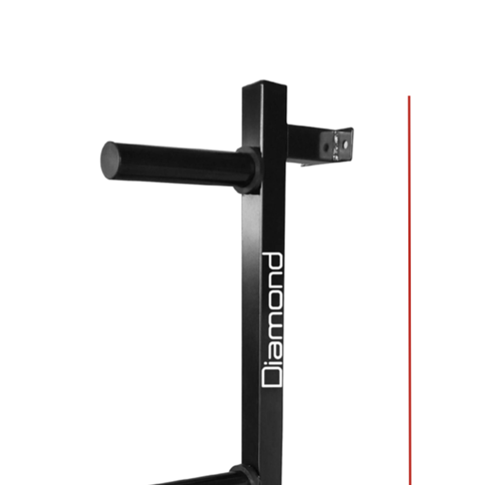 Weights Rack and Dumbbells - Diamond Wall Mounted Disc Rack With 4 Positions