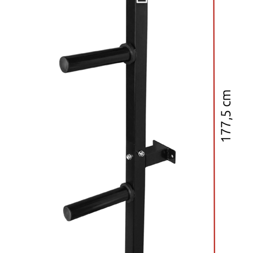 Weights Rack and Dumbbells - Diamond Wall Mounted Disc Rack With 4 Positions