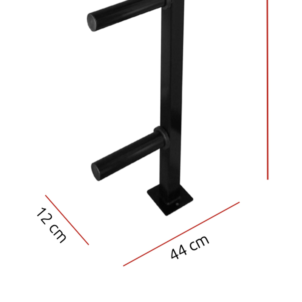 Weights Rack and Dumbbells - Diamond Wall Mounted Disc Rack With 4 Positions