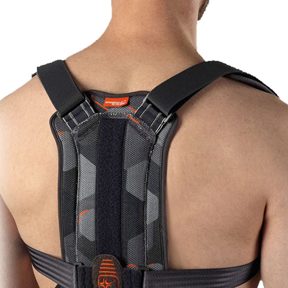 Trunk tutors - Ro+Ten Lumbar Band Corset Bust Dorsopull74 Backrest For Shoulder Pad