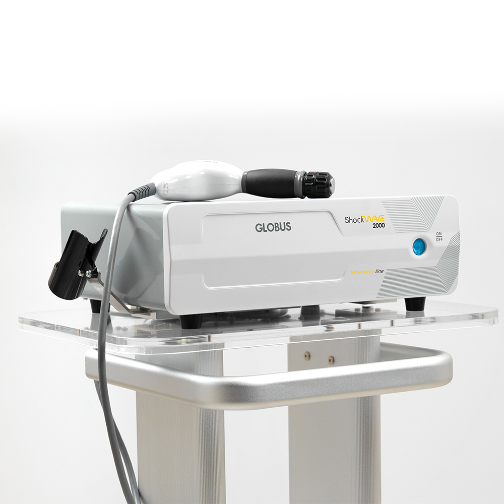 Tecartherapy/Radiofrequency - Globus Italy Shockwave 2000 Med Line Radial Shock Wave Device
